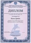 2016-2017 Белов Артем 7л (РО-география)